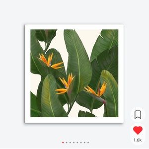 Brand new 12x12 art print